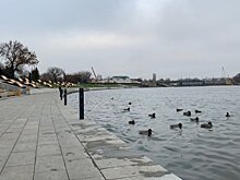 Более 45 000 пензенцев отдали голоса за место для благоустройства в 2020 году