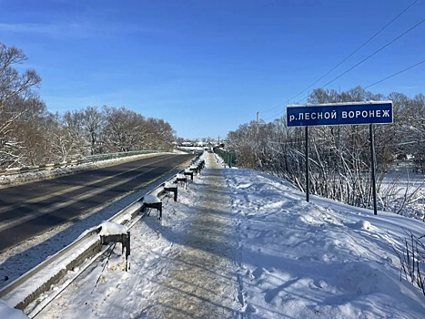 В Тамбовской области проводят капитальный ремонт моста через реку Лесной Воронеж