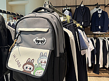 Лабубу идет в школу