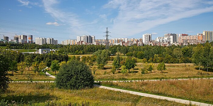 Побывать на месте древнего городища и написать берестяную грамоту. В ландшафтном парке «Митино» открыли неделю археологии