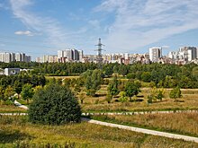 Побывать на месте древнего городища и написать берестяную грамоту. В ландшафтном парке «Митино» открыли неделю археологии