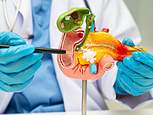 Панкреатит: что можно и что нельзя, когда болит поджелудочная железа