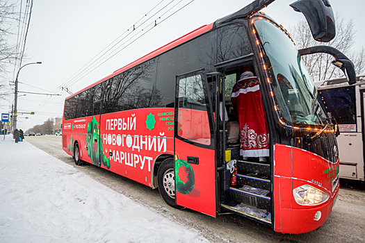 Автобусные экскурсии по новогоднему Новосибирску запустят в январе-2026