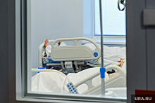 У избитого в Перми дрессировщика в больнице отказывали органы