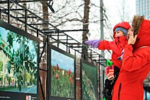 В парке «Красная Пресня» стартовала выставка «Навстречу весне»