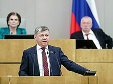 Депутат Новиков: Запад видит в БРИКС угрозу