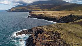 Япония раскритиковала позицию России по Курилам