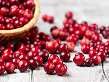 Красное золото: как собирают и что готовят из клюквы в Беларуси