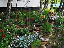 Жительница дома 22 на Абрамцевской улице обустроила под окнами цветник