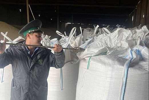Сельхозпродукция из Оренбургской области в 2022 году активнее всего вывозилась в Казахстан, Азербайджан и Латвию