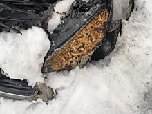 В Новгороде ночью горела машина оппозиционного депутата Облдумы