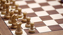 Глава Федерации шахмат России: «Спорт должен быть вне политики. Надеемся, что конгресс ФИДЕ проголосует за то, чтобы вернуть российских шахматистов»