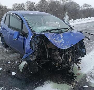 Прямо в дерево: в страшном ДТП в Приморье серьезно пострадала годовалая девочка