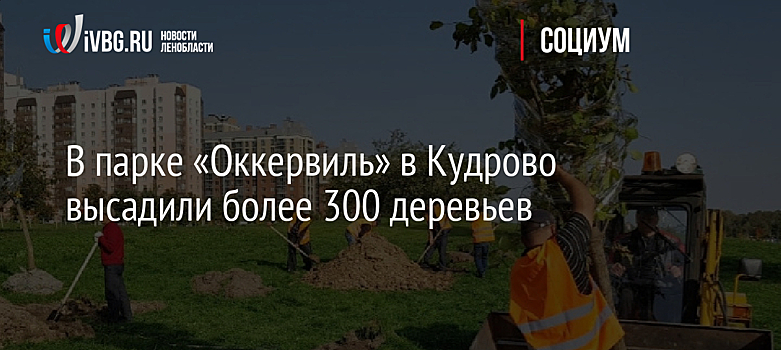 В парке «Оккервиль» в Кудрово высадили более 300 деревьев