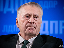 Жириновский перед выборами в Госдуму дал совет Грудинину