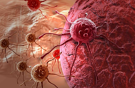 В США онкобольному ввели вирус, способный уничтожить раковые клетки