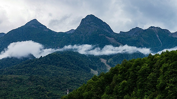 В Сочи восемь туристов оказались заблокированы рекой после ливней