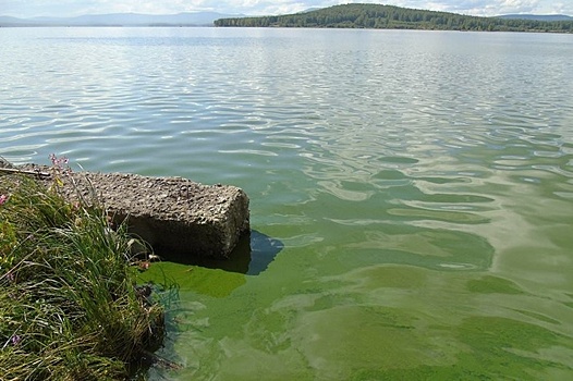 Зеленую воду Черноисточинского пруда проверят санврачи