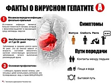 В РФ распространяются гепатит, корь и брюшной тиф