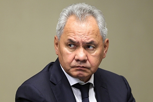 Шойгу ответил на угрозы Макрона: это несет опасность всему миру