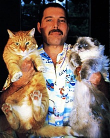 Фредди Меркьюри и его кошки