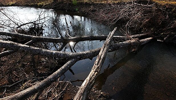 В Приморье уровень воды в реках стабилизировался после ливней