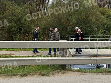 На Калужском шоссе автомобиль рухнул с моста