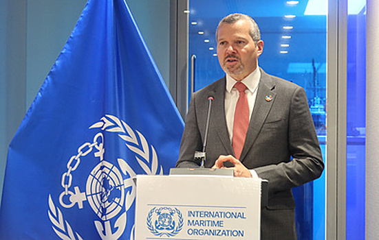 Глава ИМО: военное сопровождение судов не решит проблем судоходства в мире