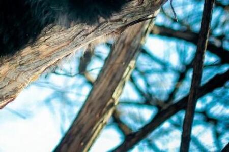 Уже +17 °С: прогноз погоды на завтра порадует приморцев