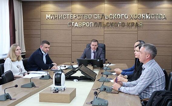 Активизацию озимой договорной кампании агрострахования 2022 обсудили в Ставропольском крае