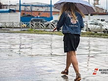 В Госдуме предложили перевести работников на удаленку из-за непогоды