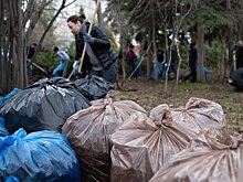Борьба с борщевиком, уборка трусцой и квест в лесу