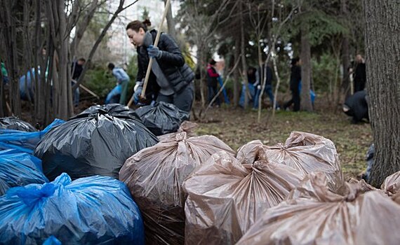 Борьба с борщевиком, уборка трусцой и квест в лесу