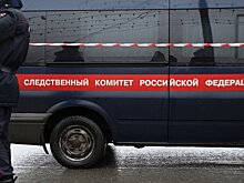 В Петербурге провели обыски у автора "Фонтанки" Ксении Клочковой