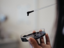 Новосибирские ученые разработали удобрение нового поколения