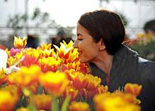 Город узнает весну по тюльпанам