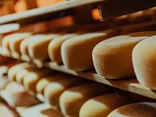 Ставропольский «Винсадский молочный завод» открыл новую сыроварню за 200 млн рублей