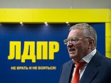 Партия ЛДПР внесла законопроект о выплате домохозяйкам по 12 130 рублей, или по 1 МРОТ на руки, который отклонен
