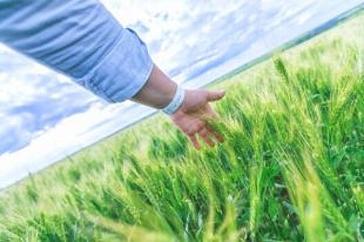 Чистая работа. Год экологии шагает по Ростовской области