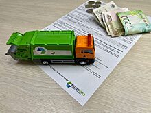 Выявлены крупнейшие должники за вывоз мусора среди частных домов Саратовской области