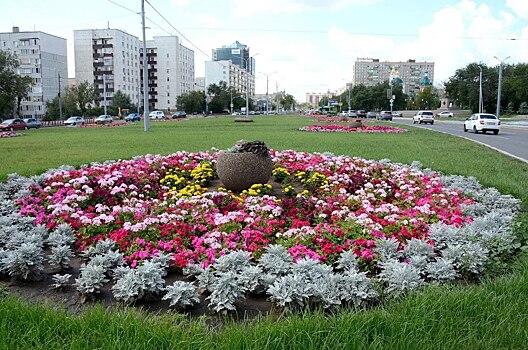 В этом году на клумбах Оренбурга высажено 350 тысяч цветочных корней