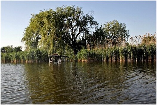 На Кубани появились 2 новые ООПТ