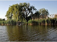 На Кубани появились 2 новые ООПТ