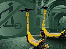 Петербургские депутаты хотят запретить самокаты в центре города из-за роста числа аварий