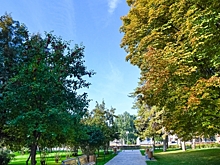 Потепление до +19 градусов ожидается в Волгоградской области 18 апреля