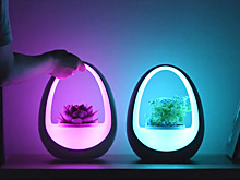 Гаджеты из будущего: 7 реальных устройств, которые раньше можно было встретить только в фантастике