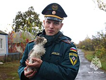 Инспектор МЧС из Курской области спас котенка, который прятался на колесе служебной машины