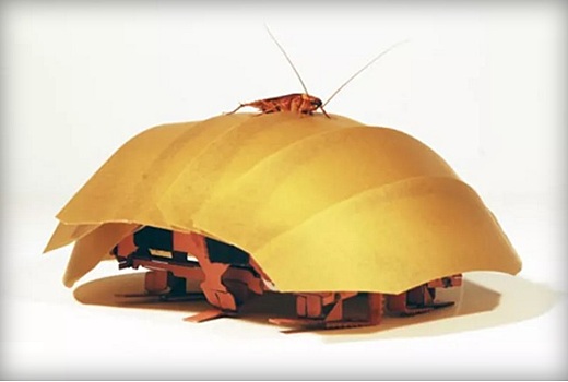 Ученые из Беркли доработали идею робота-таракана