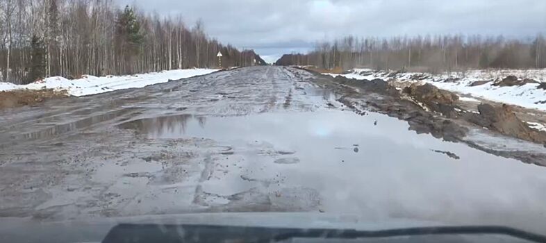 Костромичи нашли жуткую трассу-болото и требуют её починить