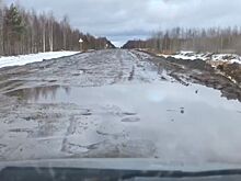 Костромичи нашли жуткую трассу-болото и требуют её починить